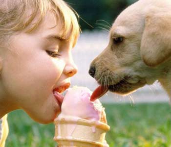 Helados la alegria de la vida